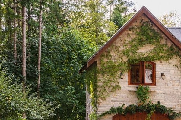  Les 10 Gîtes Ruraux les Plus Charmants de la Marne à Découvrir pour une Évasion Parfaite