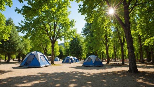 Top raisons de choisir un camping a greoux les bains